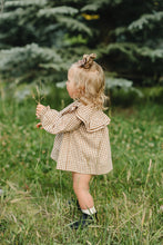Load image into Gallery viewer, Gingham Ruffle Bloomer Set
