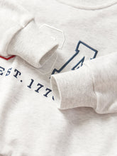 Load image into Gallery viewer, USA Lightweight Crewneck - Heather Grey