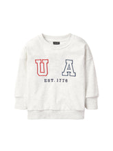Load image into Gallery viewer, USA Lightweight Crewneck - Heather Grey