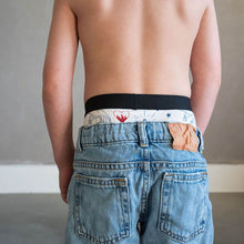 Load image into Gallery viewer, USA Boxer Briefs | 3-pk